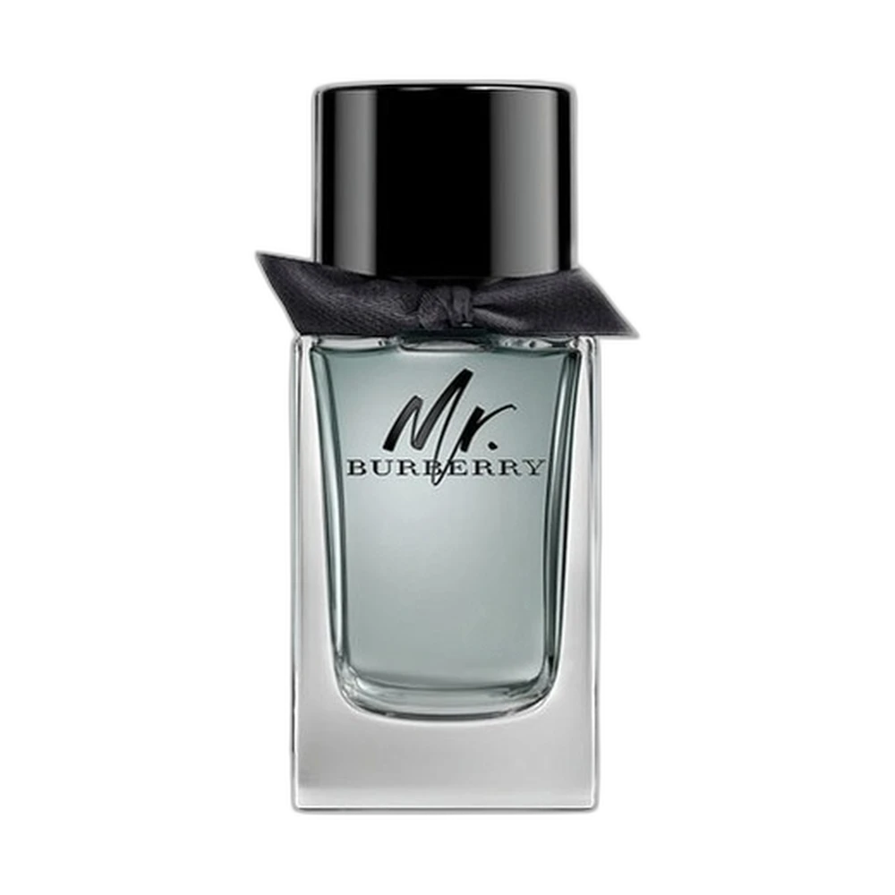 BURBERRY MR. BURBERRY edt (m) 100ml TESTER