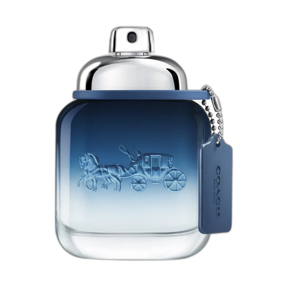 COACH BLUE edt (m) 100ml TESTER