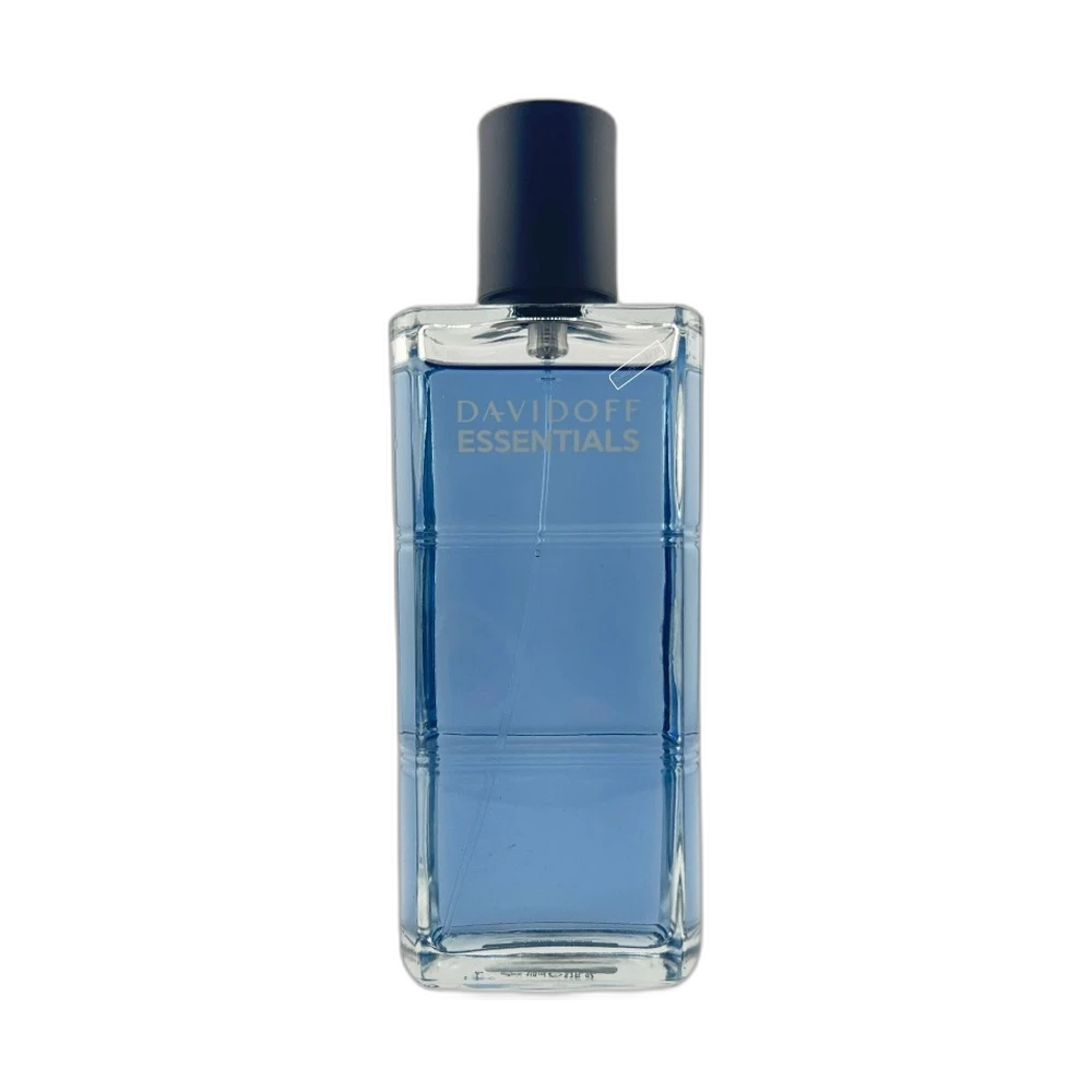 DAVIDOFF ESSENTIALS BLUE edt (m) 110ml TESTER