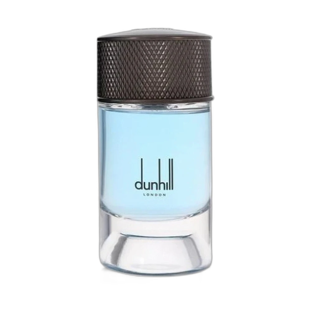 DUNHILL NORDIC FOUGERE edp (m) 100ml TESTER