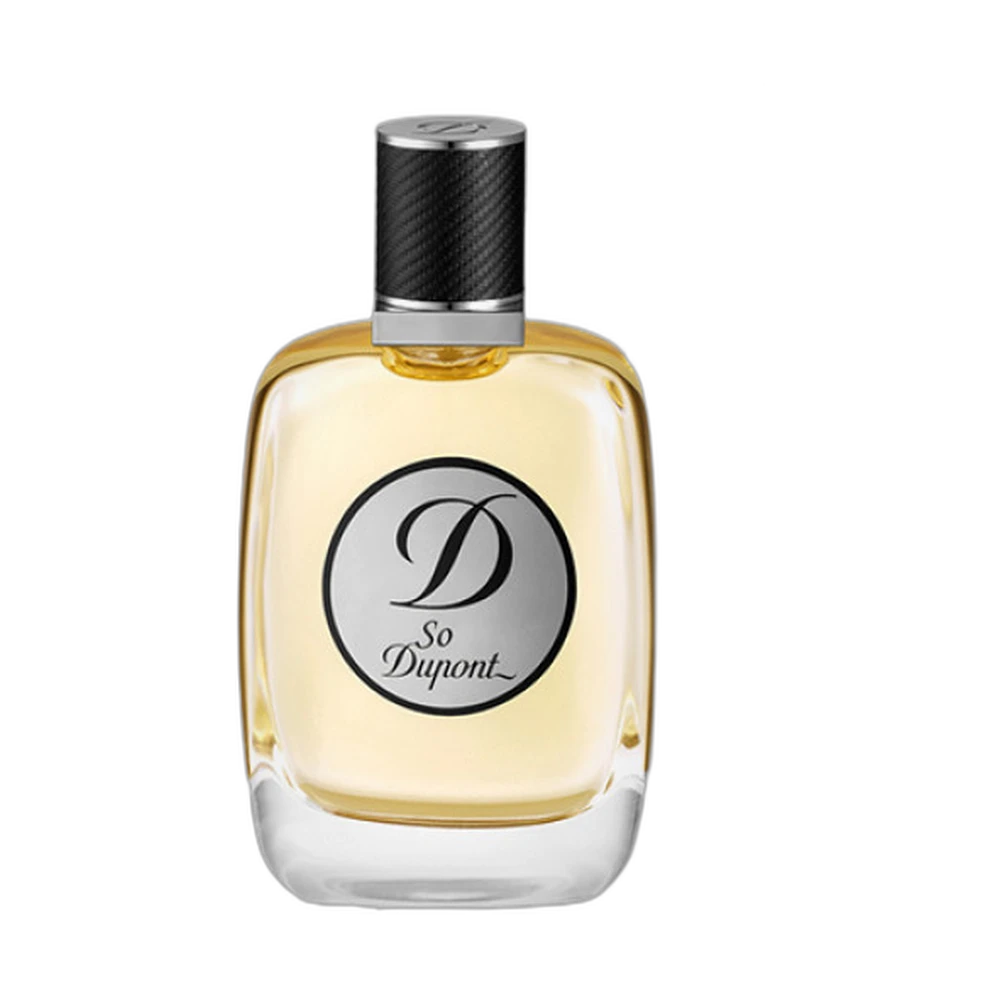 DUPONT SO D HOMME edt (m) 100ml TESTER