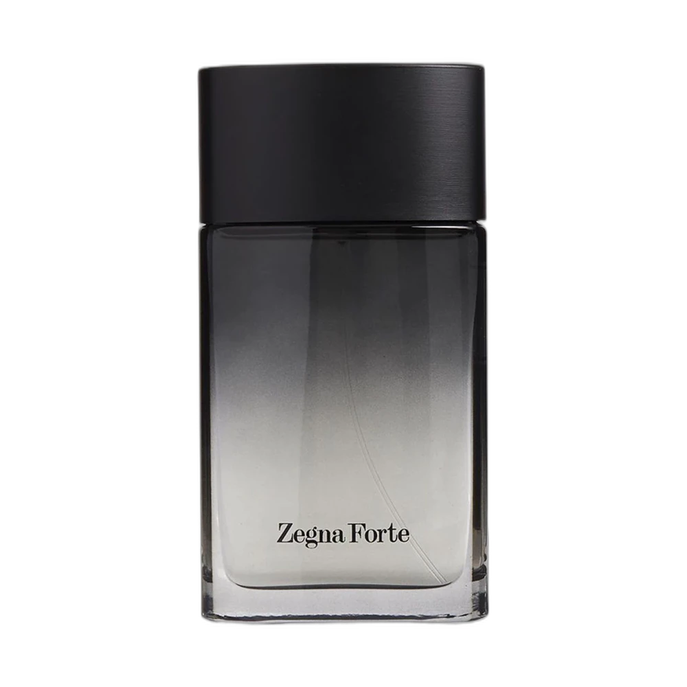 ERMENEGILDO ZEGNA FORTE edt (m) 100ml TESTER