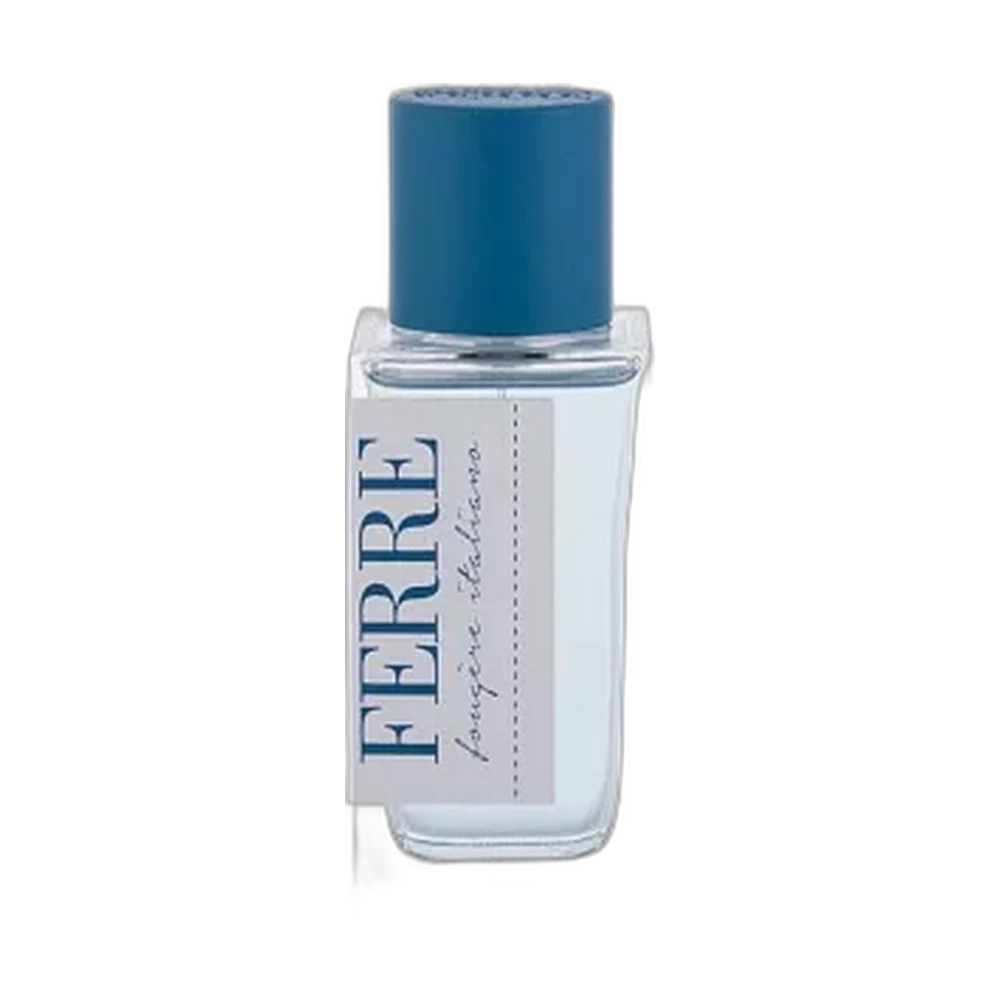 GIANFRANCO FERRE FOUGERE ITALIANO edt (m) 100ml TESTER