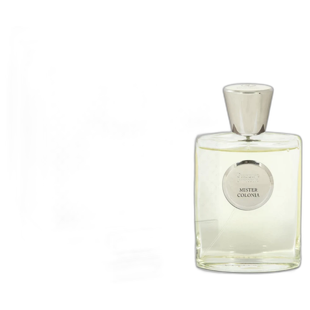 GIARDINO BENESSERE MISTER COLONIA edp 100ml