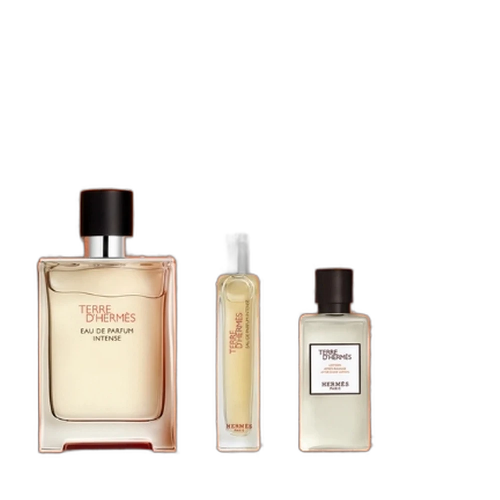 HERMES TERRE DHERMES INTENSE 100ml + 15ml