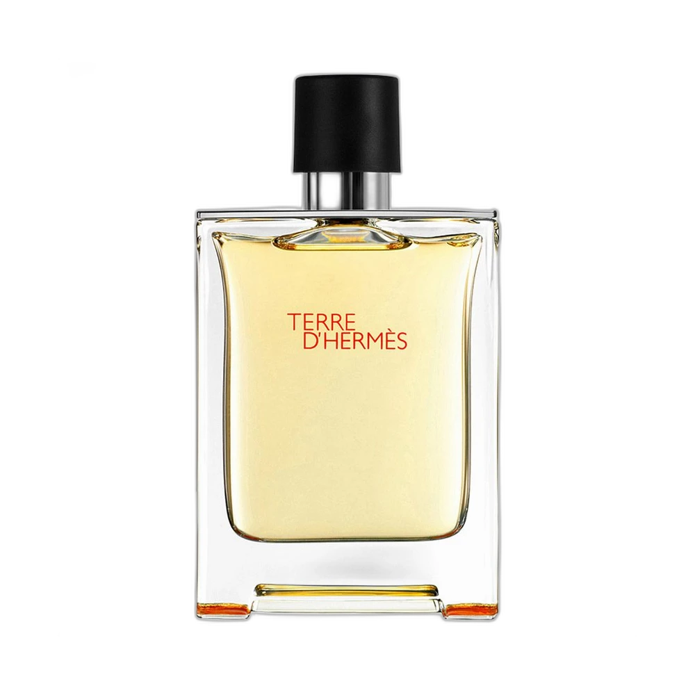 HERMES TERRE DHERMES edt (m) 200ml TESTER
