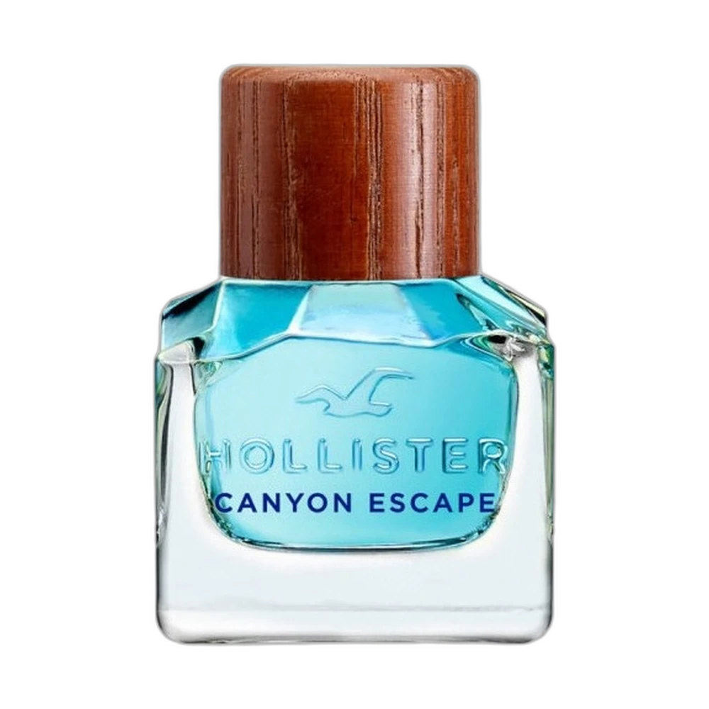 HOLLISTER CANYON ESCAPE edt (m) 100ml TESTER