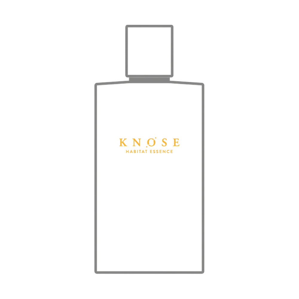 KNOSE SPIRITUAL 100ml аромат для ткани