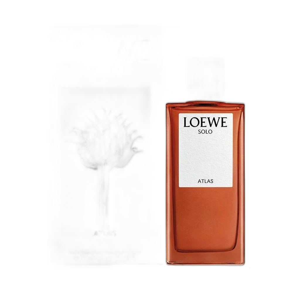 LOEWE SOLO ATLAS edp (m) 100ml