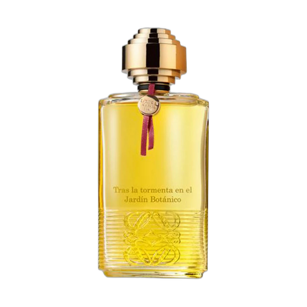 LOEWE TRAS LA TOMENTA EN EL JARDIN BOTANICO edp 100ml TESTER
