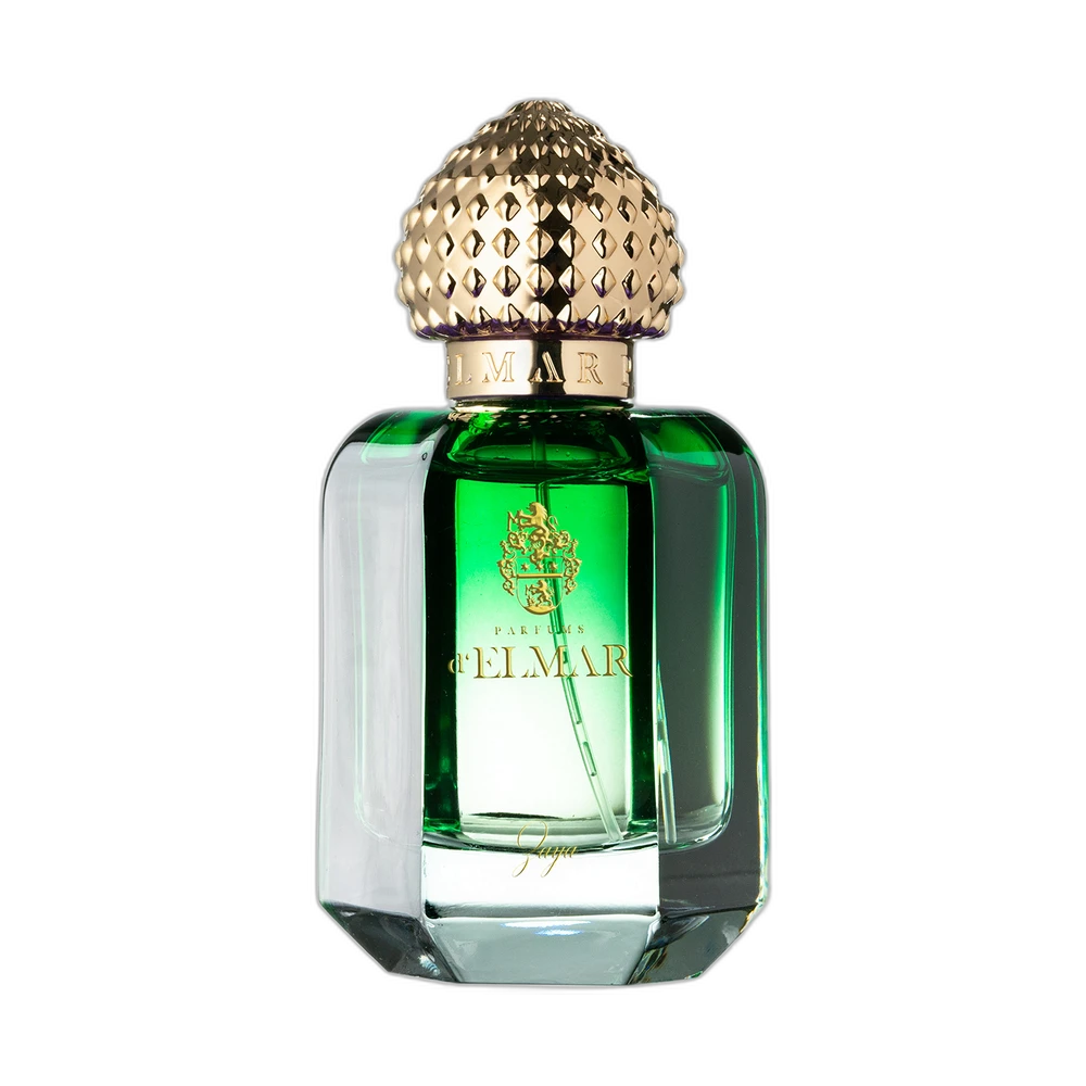 PARFUMS DELMAR ZAYA 60ml
