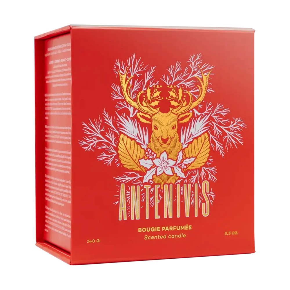 PIERRE GUILLAUME ANTENIVIS 240g candle