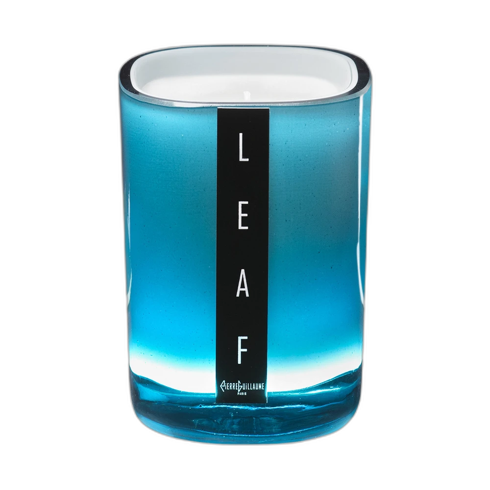PIERRE GUILLAUME LEAF 240g candle
