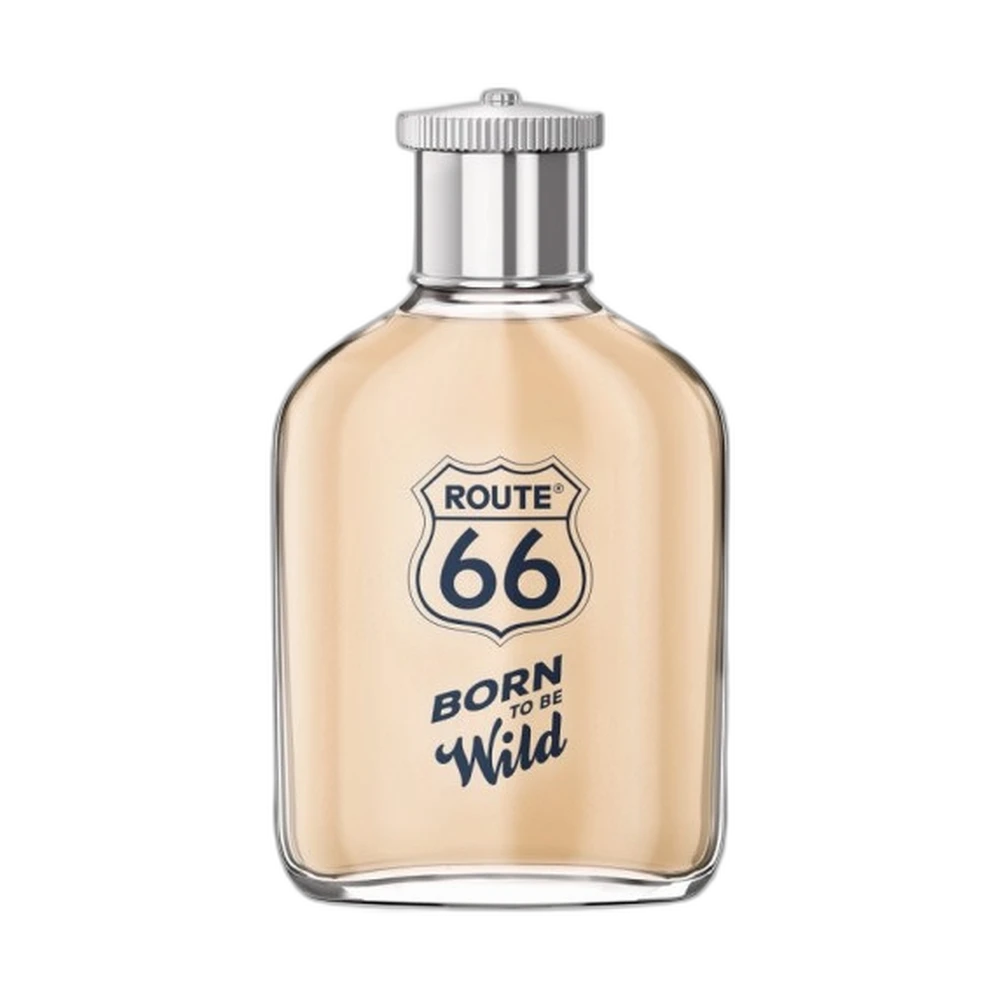 ROUTE 66 BORN TO BE WILD edt (m) 100ml TESTER