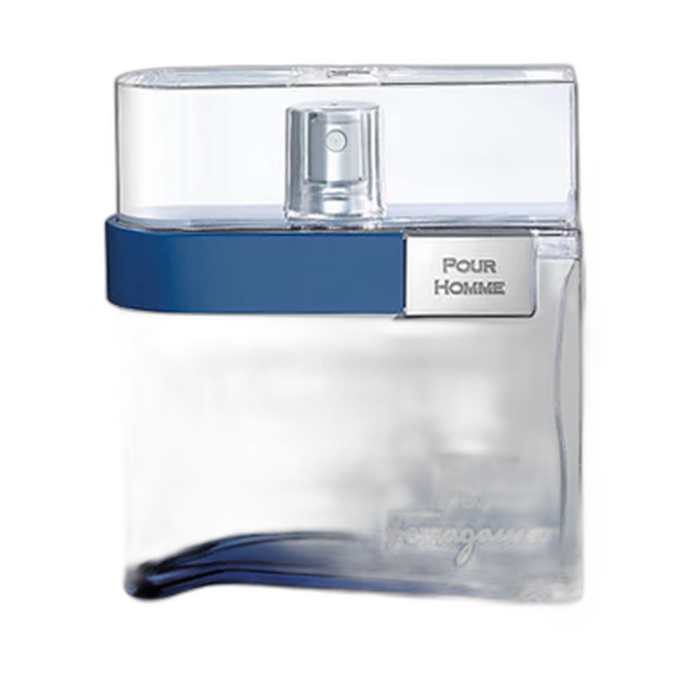 SALVATORE FERRAGAMO F BY FREE TIME edt (m) 100ml TESTER