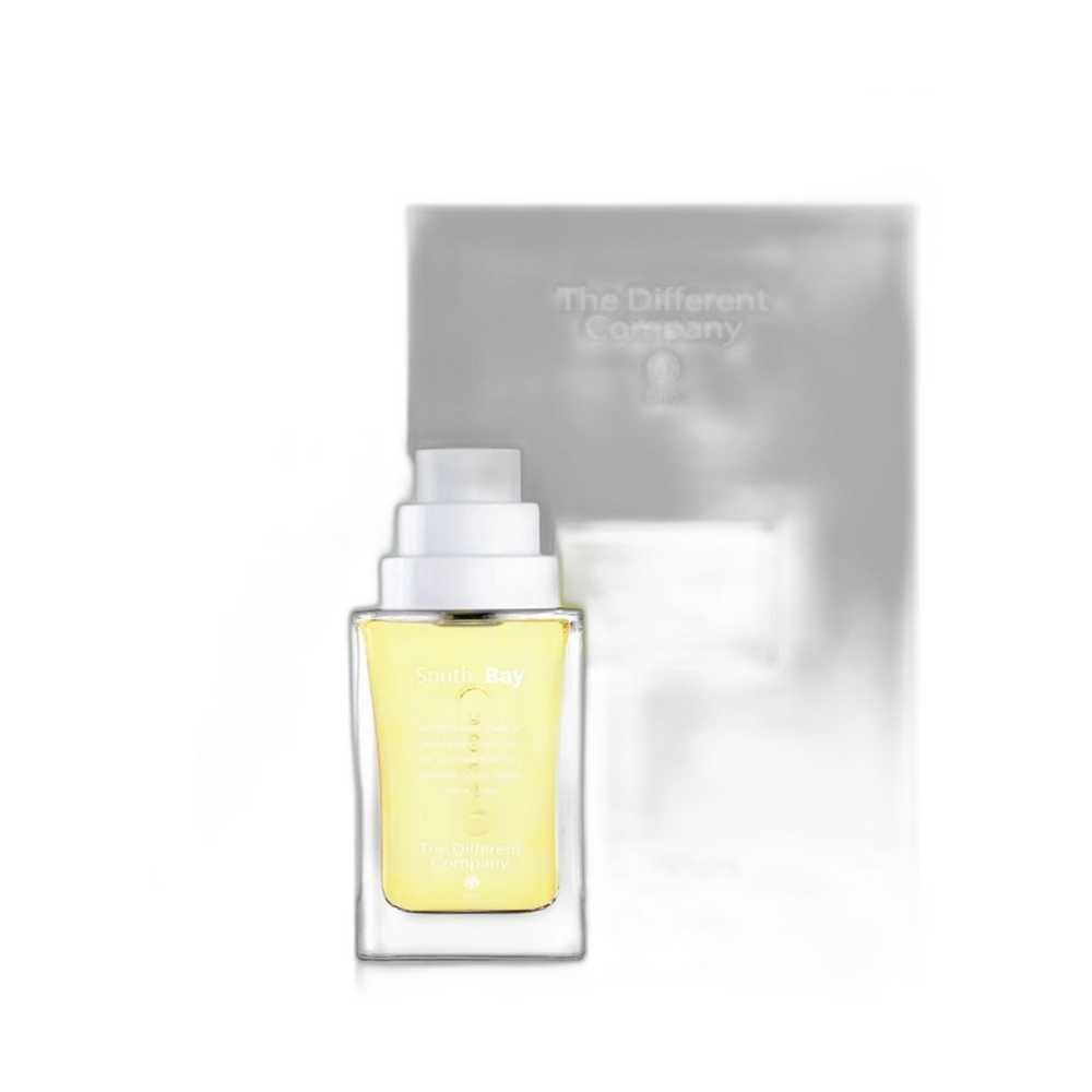 THE DIFFERENT COMPANY SOUTH BAY edt 100ml