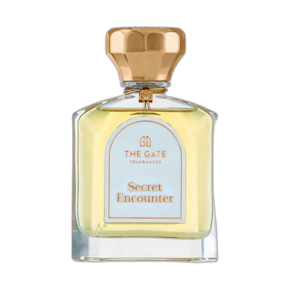 THE GATE FRAGRANCES PARIS SECRET ENCOUNTER EXTRAIT 100ml тестер