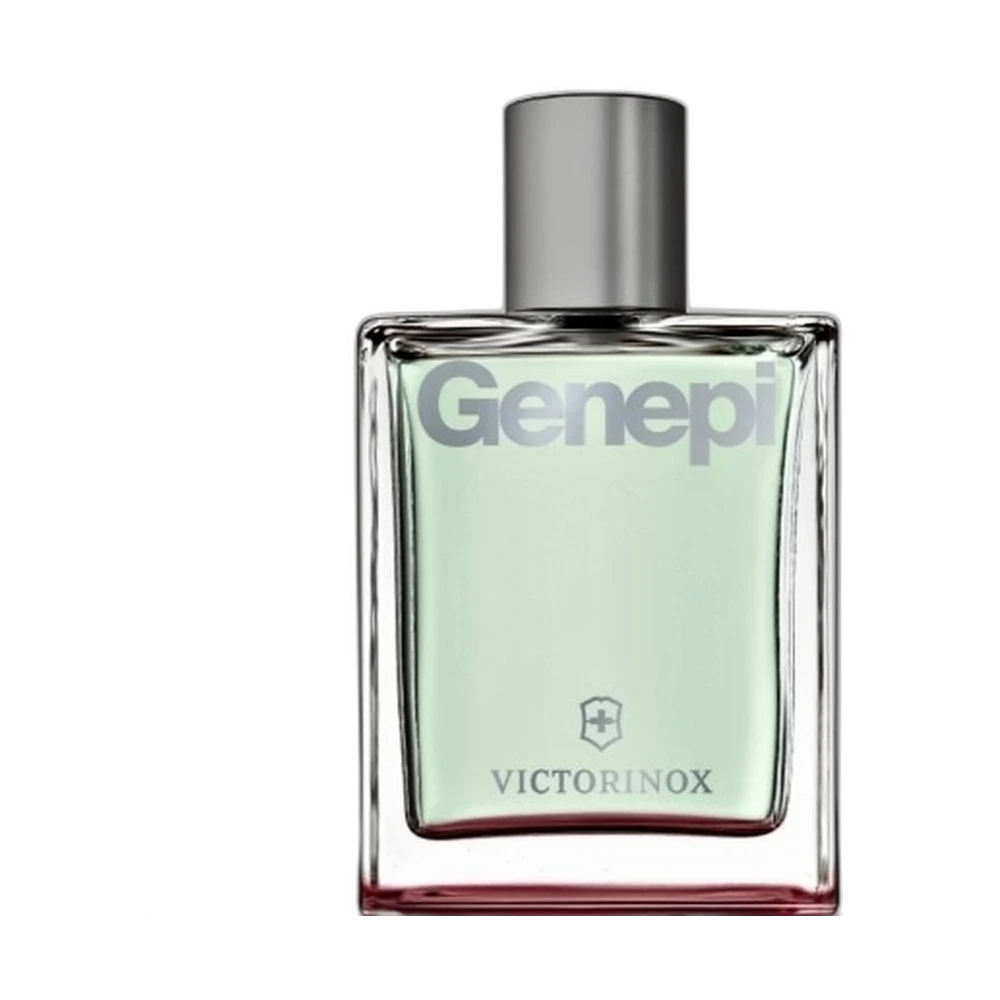 VICTORINOX SWISS ARMY GENEPI edt (m) 100ml TESTER