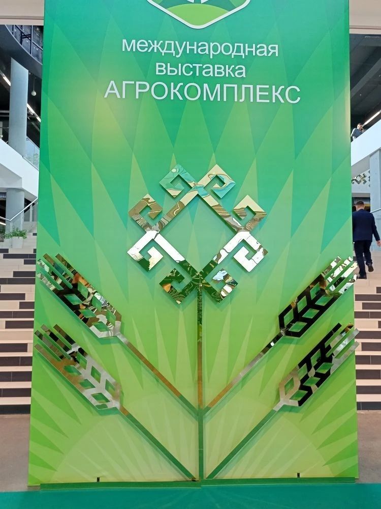 Изображени 8