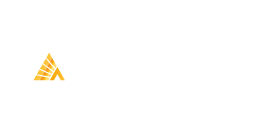 Логотип Деловые Линии