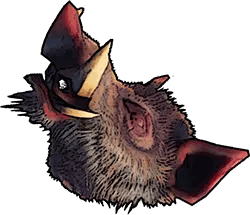 windrose boar head