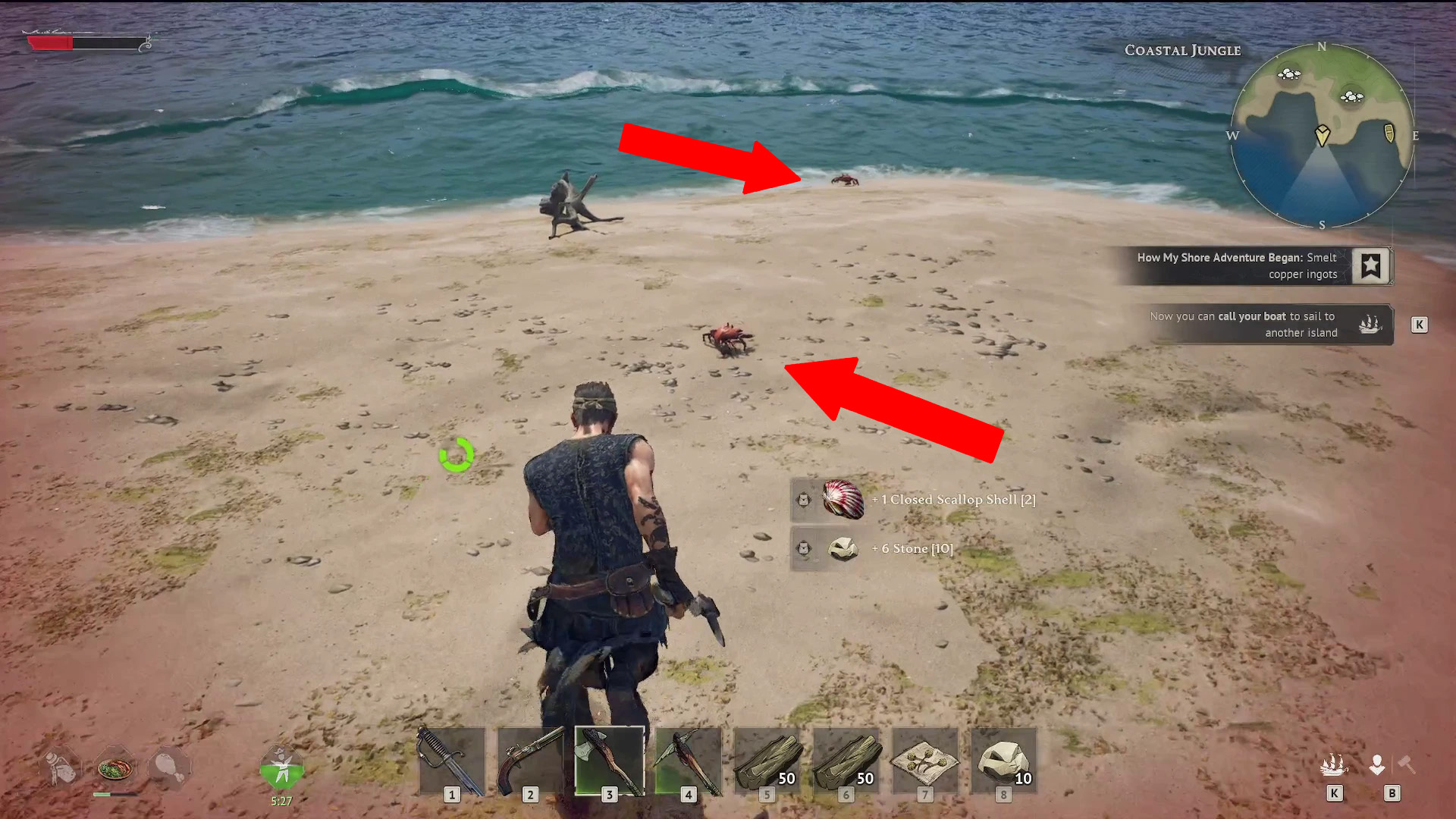 crab-snap.jpg