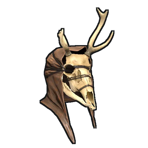 image-asset.png
