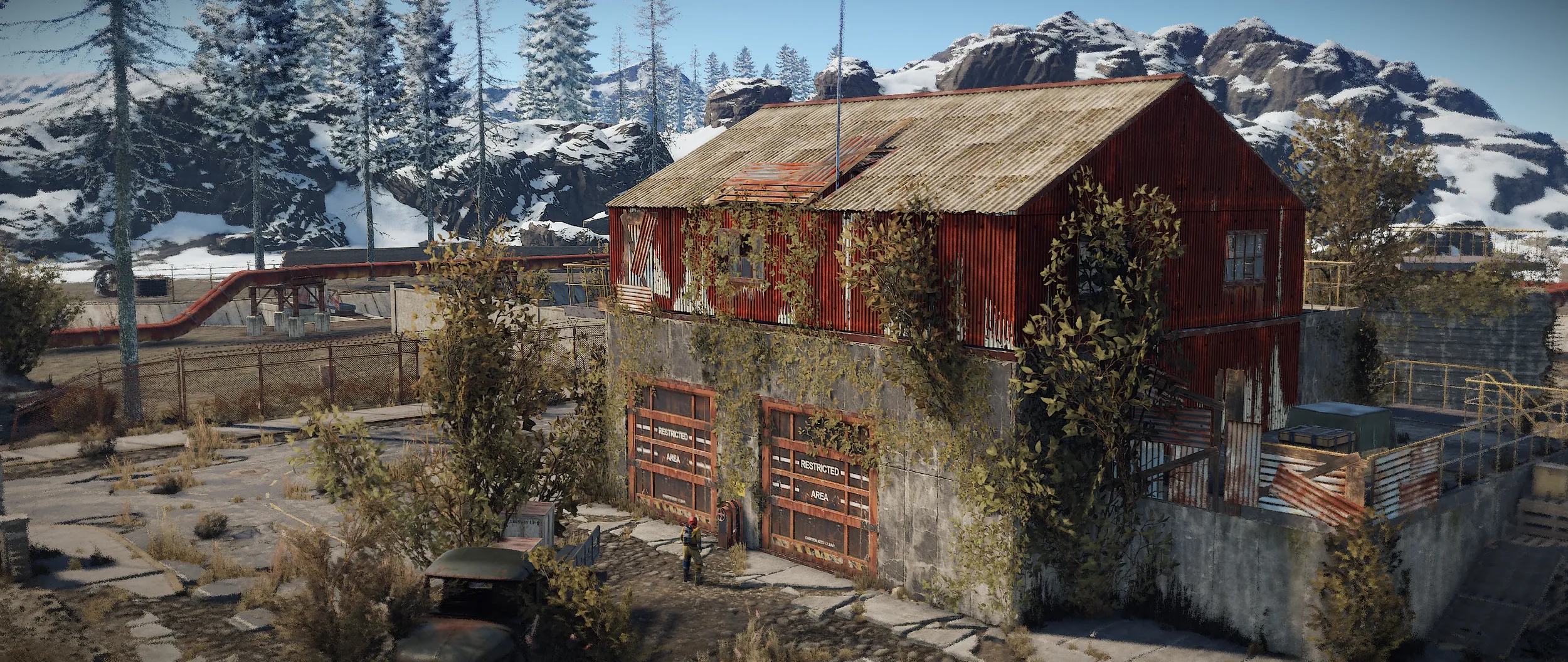 image-asset.png