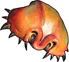 crab shell