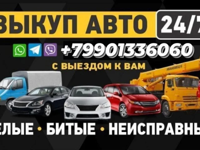 Фото: НА ЛУЧШИХ В ГОРОДЕ УСЛОВИЯХ