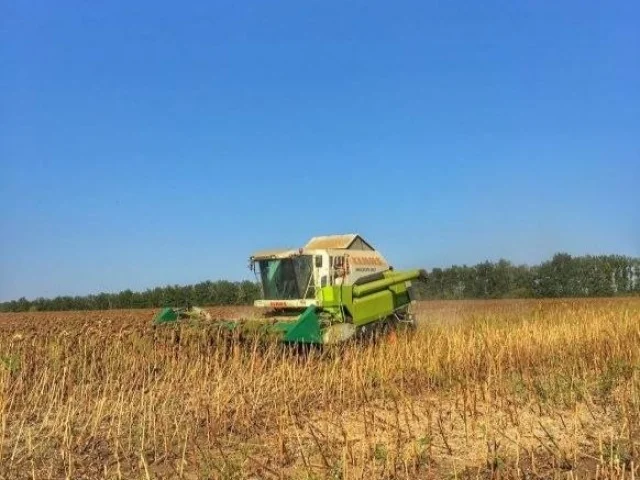Фото: Продам Комбайн Claas Medion 310