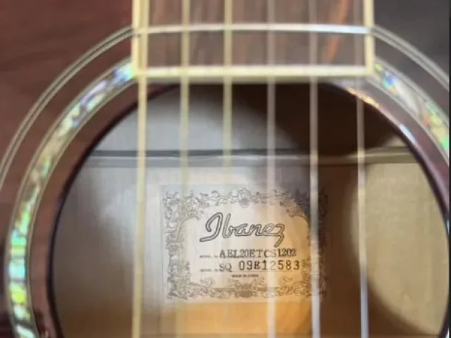 Фото: ibanez AEL20etcs1202 Электроакустическая гитара