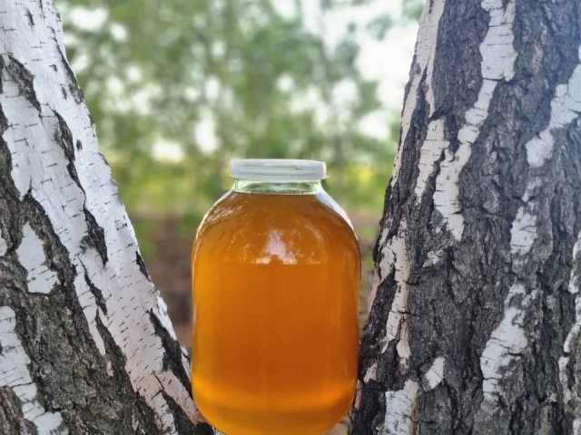 Фото: Мёд🍯