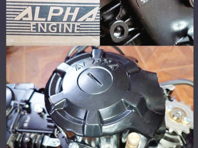 Фото: Продам новый двигатель альфа 125 кубов. Всё как на фото. Двигатель в коробке цена 23 000₽ в наличии в Новоалексеевке Ген