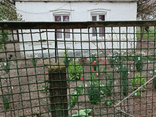 Фото: Продам жилой домик старой постройки. Требует ремонта. Окна пластик, вода и газ в доме. Душ и туалет во дворе. Приоритето