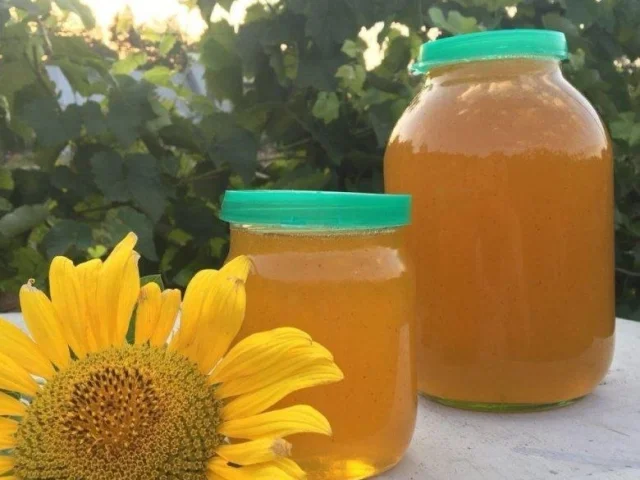 Фото: Продаем мед подсолнух 🌻🐝