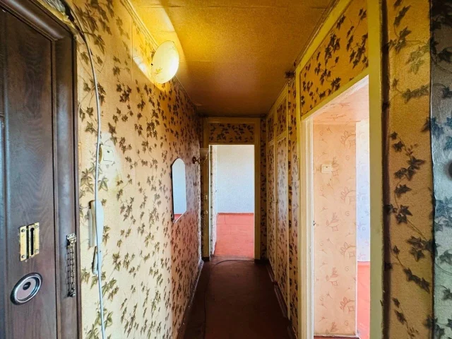 Фото: 🔹️В продаже: