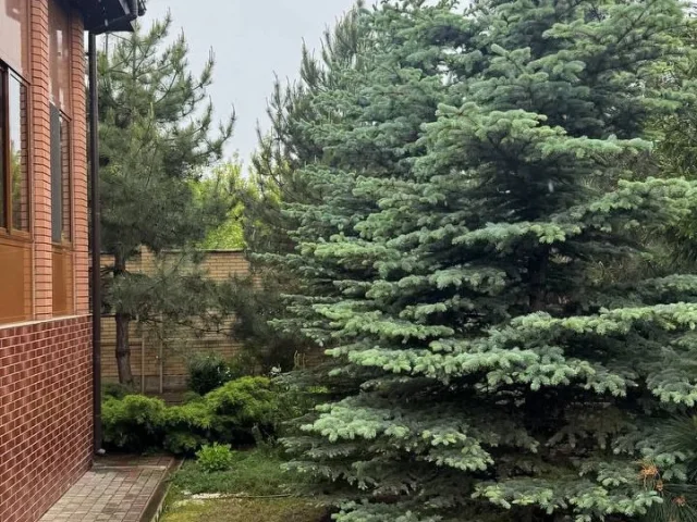Фото: Продам новый жилой дом 🏡