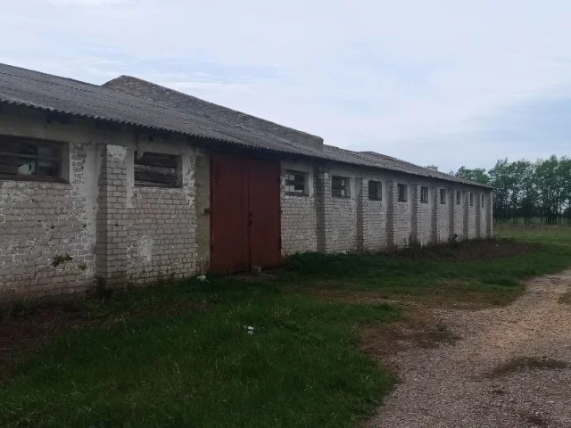 Фото: Продам зернохранилище с. Лысое (р- н пгт. Новосветловка) в 20 км. от Луганска. Общая площадь 852 кв. м., асфальтированны
