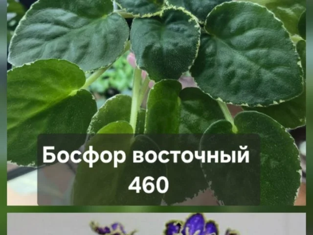 Фото: Донецк, встреча по договорённости