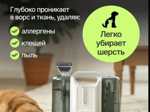 Фото: Проведи хим.чистку самостоятельно!