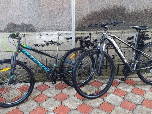 Фото: Велосипед Hogger 29 и Intenzo 26