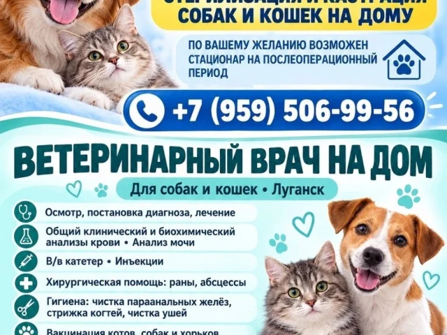 Фото: ВЕТЕРИНАРНЫЙ ВРАЧ   🐶 🐱