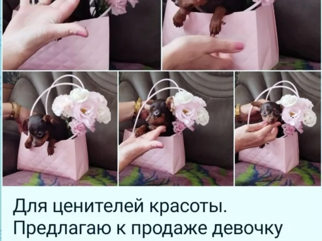 Фото: Цена 35 тыс