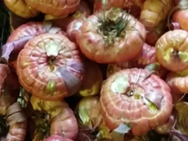 Фото: Продам луковицы гладиолусов, цвет красный и розовый, цена разная -крупные 70руб, средние 50 руб мелкие 30руб, за шт , Эн