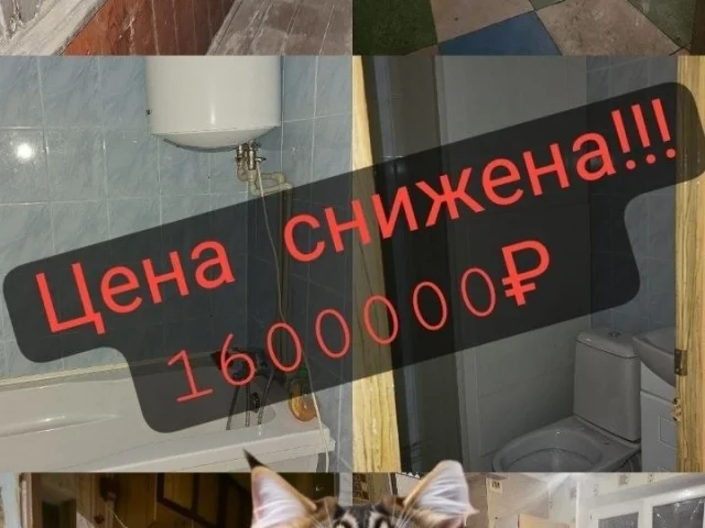 Фото: ВНИМАНИЕ РОЗЫСК ⚠️