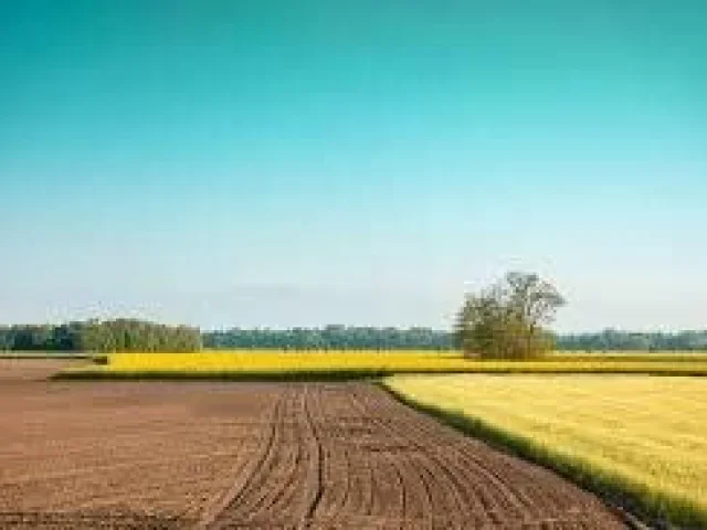 Фото: 📍📍📍Продажа земли сельхоз назначения 12га📍