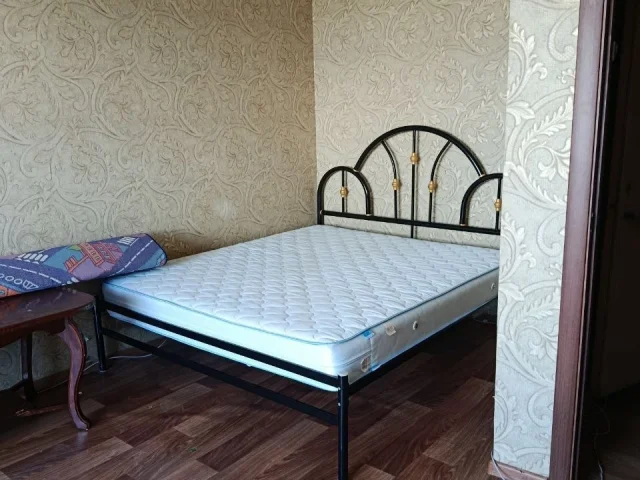 Фото: Сдаем