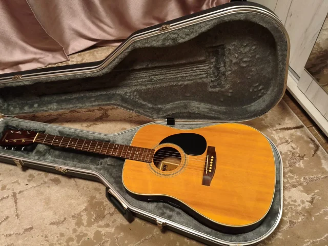Фото: Акустическая гитара Hohner HW400N