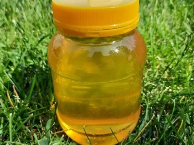 Фото: Продам ароматный, очень вкусный майский мед 🍯🍯🍯